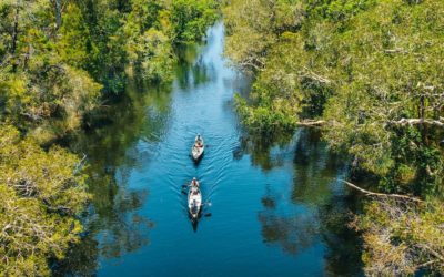 Experience the Noosa Everglades