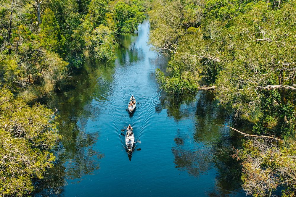 Experience the Noosa Everglades