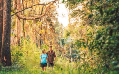 Noosa Trail Network