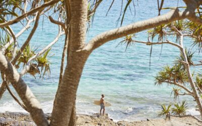 Noosa Day Trips and Sightseeing